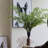 Fern Arrangement