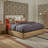 Blain Upholstered Storage Bed-1258055629