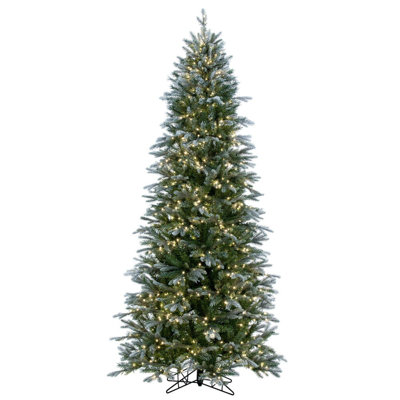 Douglas 12' H Lighted Artificial Fir Christmas Tree