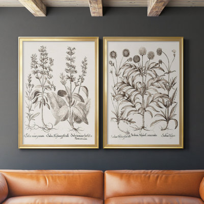 " Sepia Besler Botanicals III " 2 - Pieces