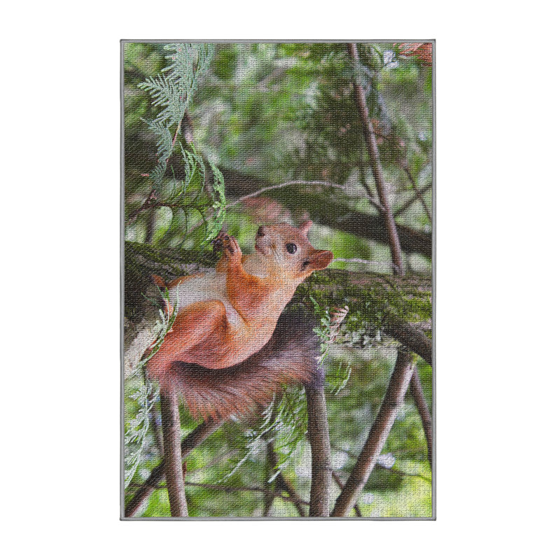 Tapis vert Squirrel 4, Rectangle 2 pi x 5 pi