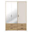 Rajish Manufactured Wood Wardrobe