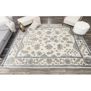 Hand-Knotted Authentic Ivory/Brown Area Rug