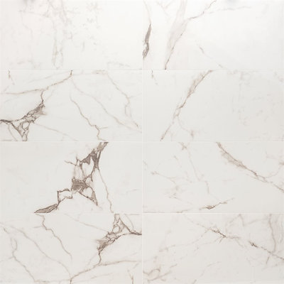 Everstone 12" x 24" Polished Marble Look Porcelain Floor and Wall Tile