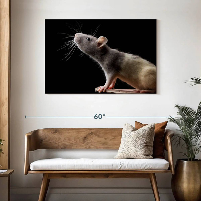 Brampt Rat Close Up, 30" H x 45" W