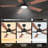 52 inch Smart Ceiling Fan with Light