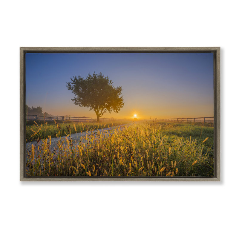 Toile flottante «Rising Sun Horizon» par Marty Hulsebos, Cadre flottant orme Montalcino, H 21 po x l 31 po