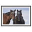 Friendship Print-708821437-708821436