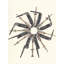Variety Of The Species Print by Lisa Eisenbrey-65824748-65848936