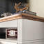 Meuble audio-vidéo Farmhouse Fireplace-638591549
