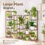 Plant Stand