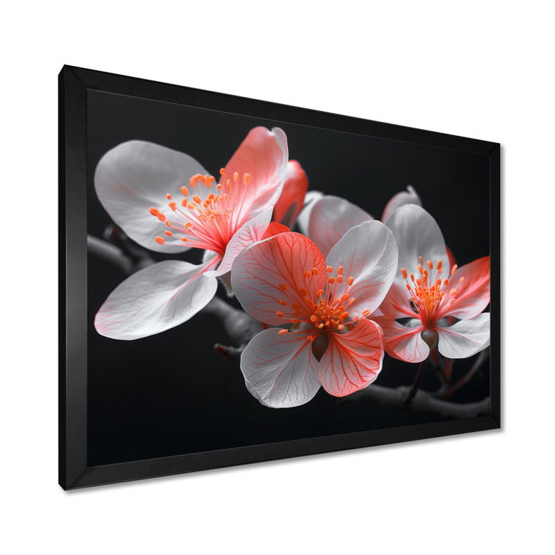 Fleurs de pommier blanches et rouges - salon d'art mural, H 12 po x l 20 po, Cadre simple noir, bois massif