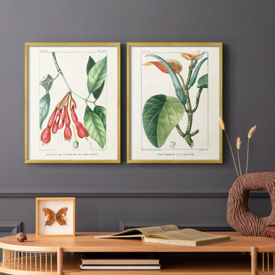 «Turpin Tropical Botanicals I», reproduction encadrée de qualité supérieure - prête à être accrochée - aucun clou requis