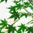 Artificial Maple Tree-2077628297