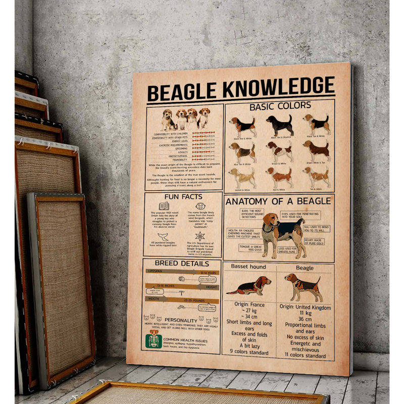 Toile tendue avec châssis Beagle, H 20 po x l 16 po x P 2 po