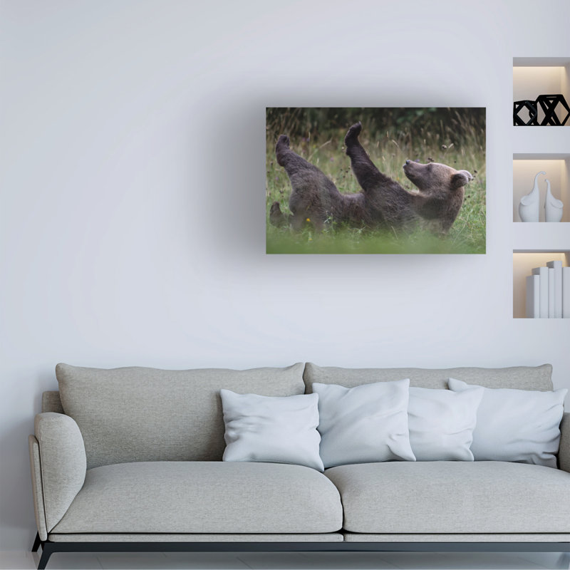 Art sur toile, «bolur jure kravanja claws are», H 12 po x l 19 po