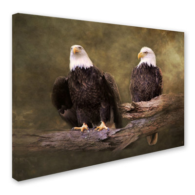 'Mates Bald Eagle Pair' Photographic Print on Wrapped Canvas