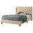 Transitional Queen Bed In Beige