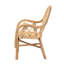 Alanood Rattan Accent Chair
