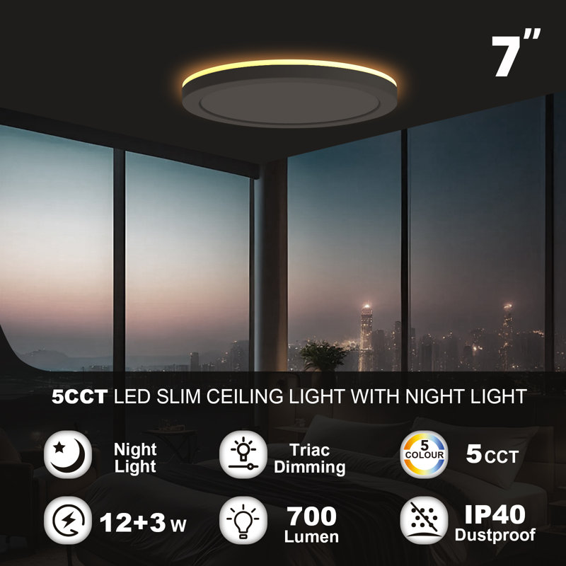 Julina Plastic LED Flush Mount