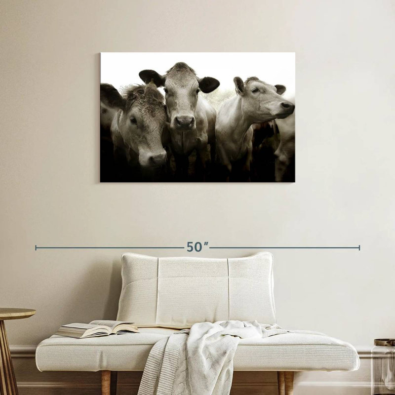 Brampt Three White Cows, 24" H x 36" W