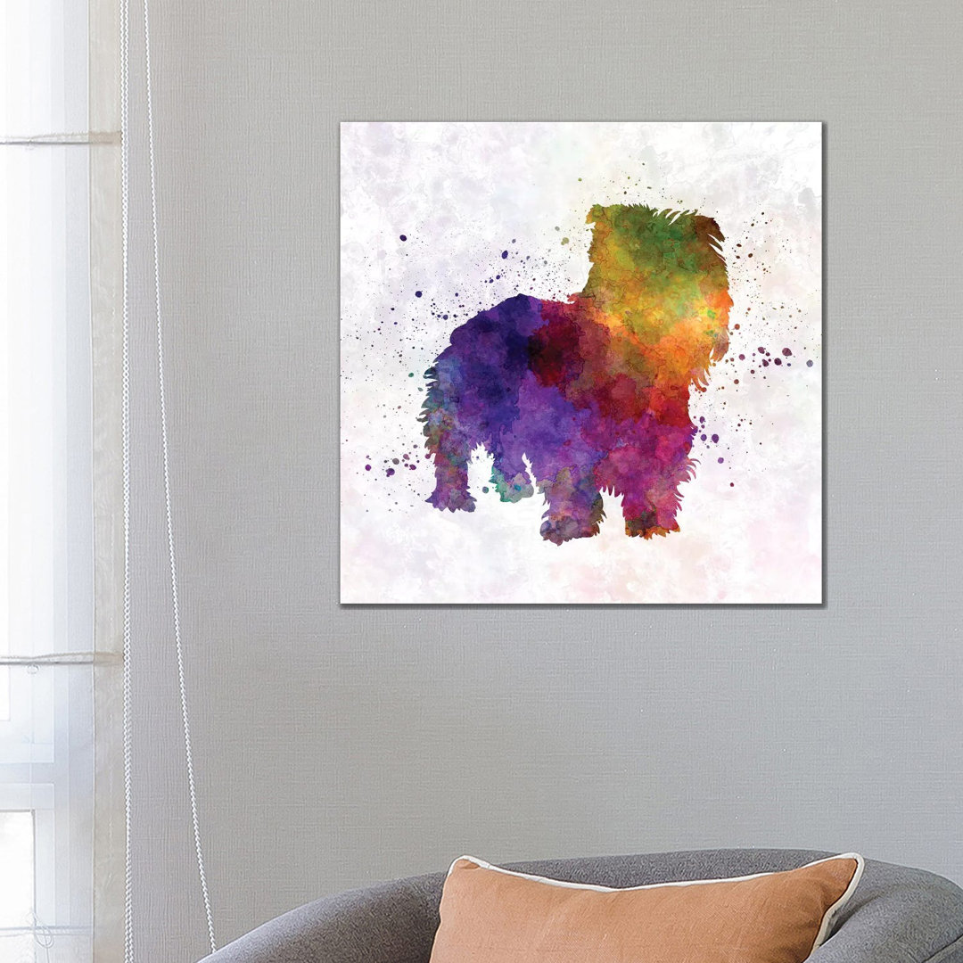 Irish Glen Of Imaal Terrier In Watercolour by Paul Rommer - Wrapped Canvas Painting