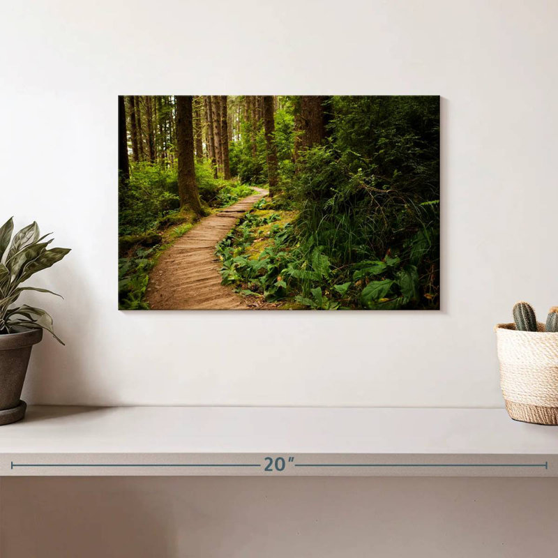 Sentier de randonnée Alvord Redwoods, H 8 po x l 12 po
