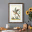 Cadre Pastel Birds IV Premium - prêt à accrocher-1207145256-1207145253