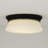 Cath 2 Light Flush Mount-747357068