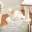 61cm H Cat Tree