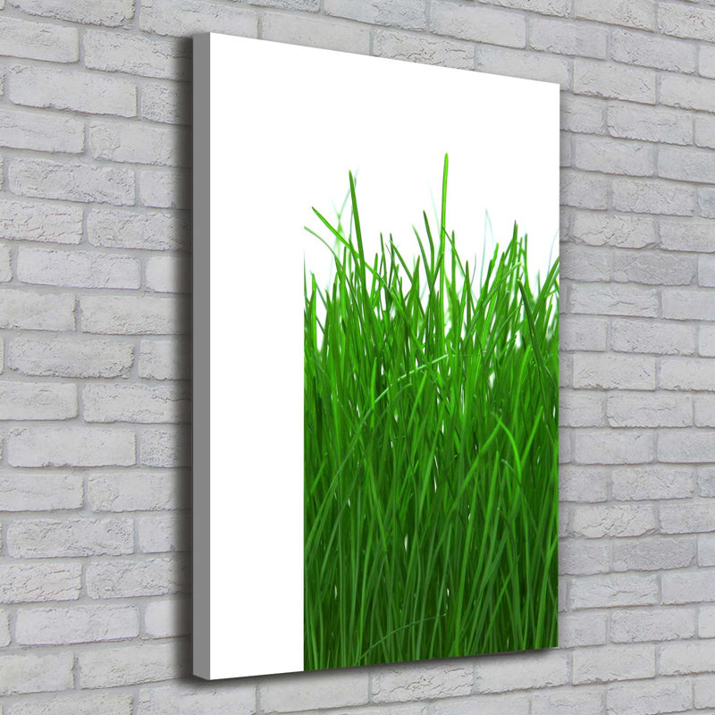 Grass - Wrapped Canvas Print