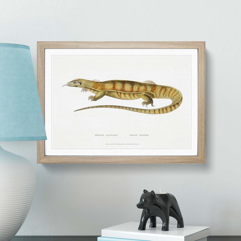 Yellow Monitor Lizard by John Edward Gray - Picture Frame Painting Print, 48cm H x 65cm W x 2cm D, Oak Framed