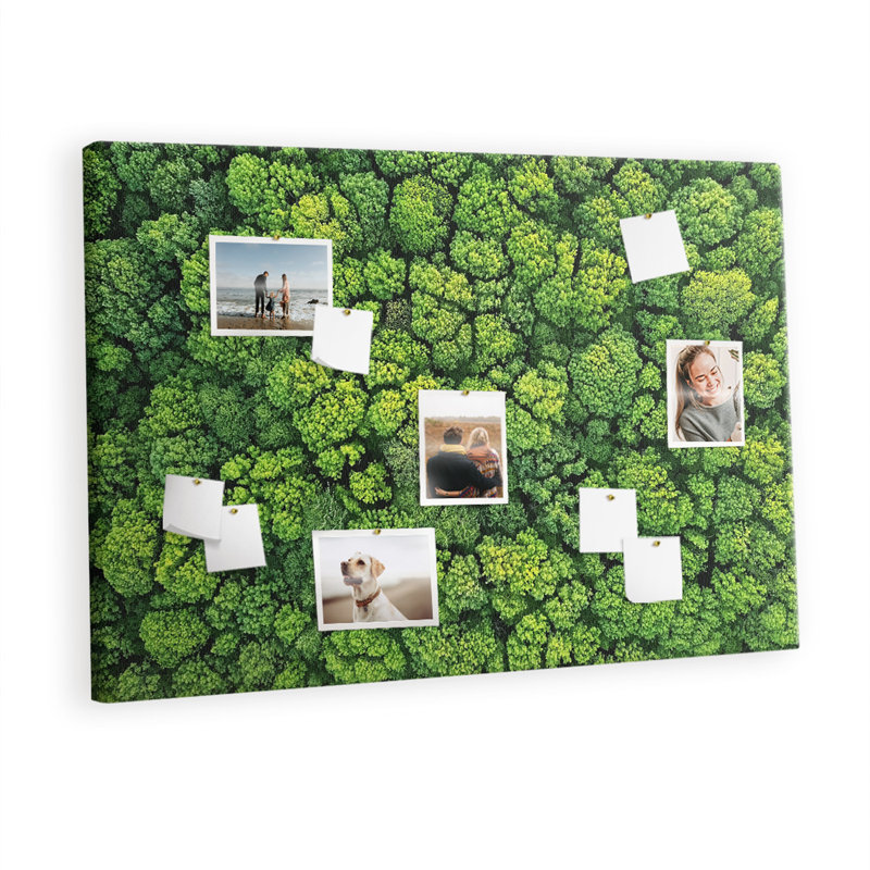 Batuhan Cork Corkboard / Bulletin Board