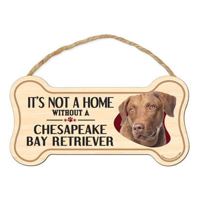 Ce n'est pas une maison sans notre enseigne de race en forme d'os Chesapeake Bay Retriever