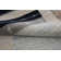 Area Rug in Beige/Rust