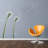 Plants & Flowers Non-Wall Damaging Wall Decal
