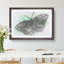 Mint Green Butterfly Art - Picture Frame Graphic Art Print-55733557-55733558