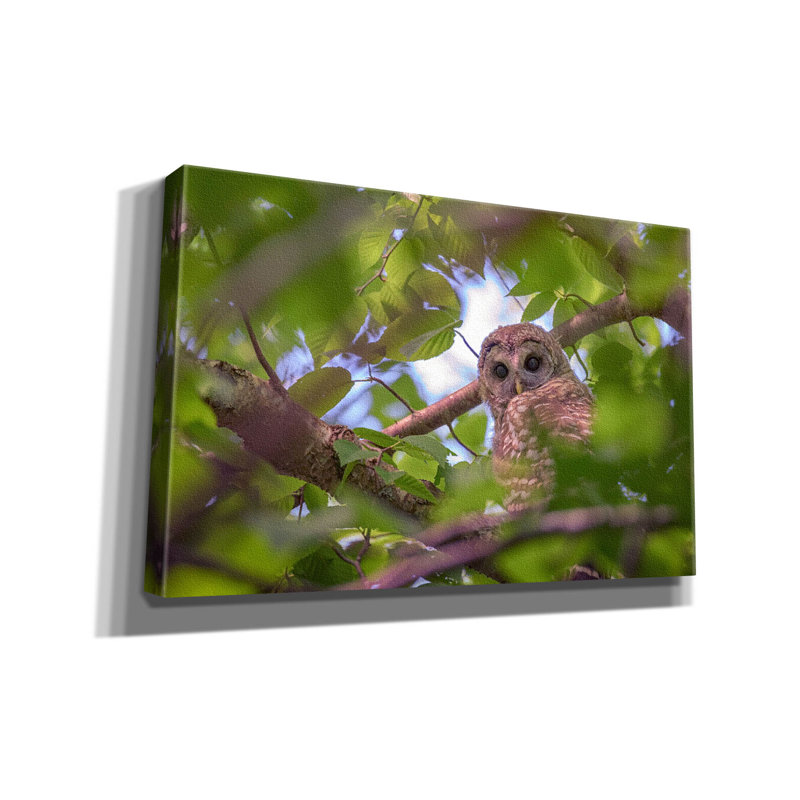 Toile épique «The Watcher» par Rick Berk, 18 po x 12 po, H 26 po x l 40 po x P 1,5 po