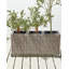 Allana Handmade Pot Planter-1431149750