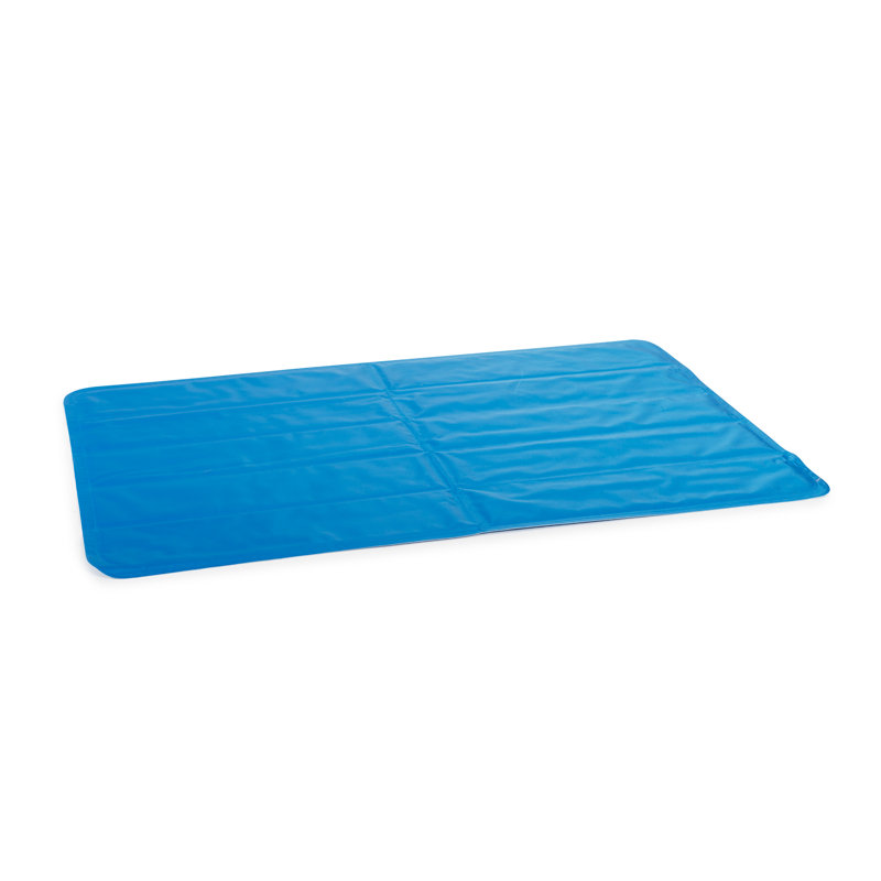 Wesson Plastic Pet Bed, 1cm H x 45cm W x 90cm D