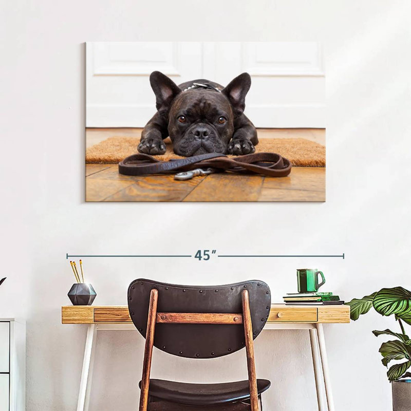 Bouledogue français en attente, H 26 po x l 39 po