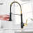 Kitchen Faucet with Pull Down Sprayer-97011234
