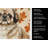 Sable Pekingese Heirloom Fall Kitchen Towel-1218231023