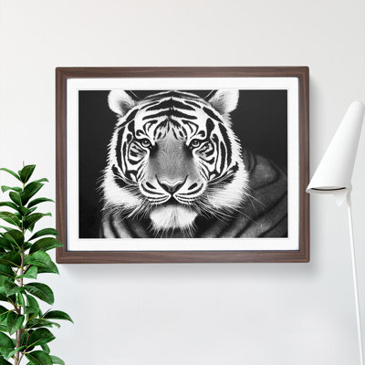 Monochrome Tiger Vol.5 - Framed Print