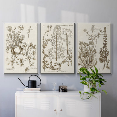 «Sepia Botanical Journal IV», ensemble de 3 pièces encadrées sur toile