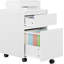 McLoughney 40cm Wide Mobile File Cabinet-1684424113