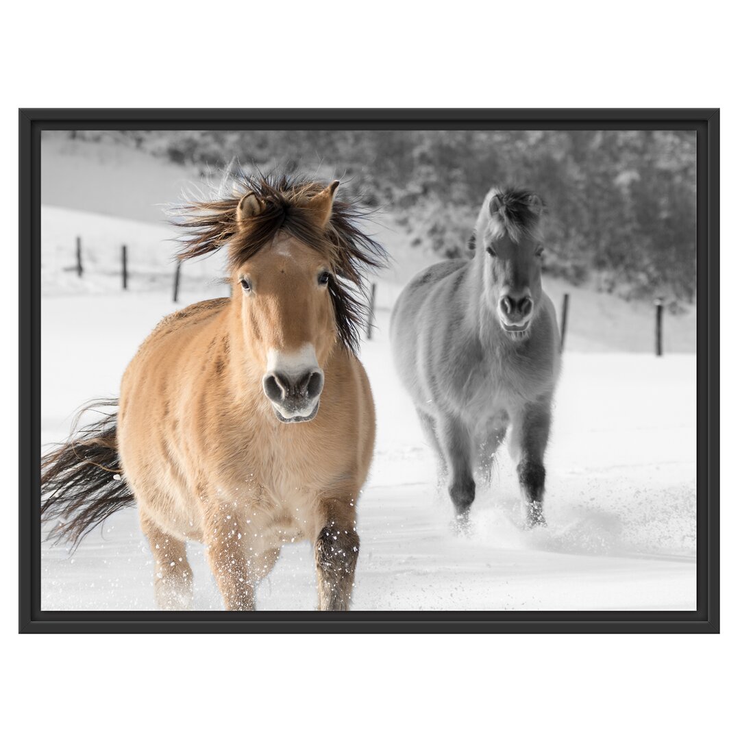 Gerahmtes Wandbild zwei schöne PonysSchnee