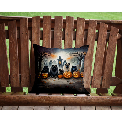  Other/No Pattern Throw Pillow