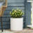 MGO PLANTER