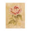  «Cheri Blum Peony I», art mural sur toile-101097711